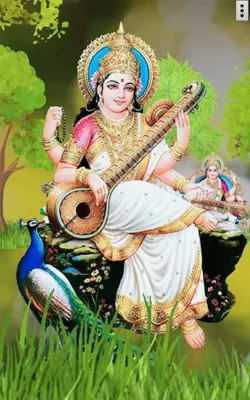 4D Saraswati Live Wallpaper android App screenshot 6